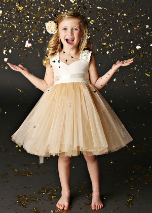 Sweetheart Neck Satin Tulle Elastic Back Adorable Flower Girl Dress